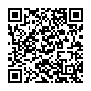 专业级数码单反相机佳能hidma11的镜头瞄准着一幅美景二维码生成