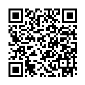 专家们都纷纷叹息这头幼崽可能治不好了二维码生成