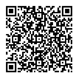 专心的享用面前油光四溢的大餐――她大概也是这桌上唯一一个心思真的在美食上的人二维码生成