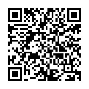 专心致志正在那里摆弄萝卜的左书记根本没有发现家里有人来了二维码生成