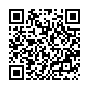 专心致志的对付着眼前这个金仙期的大家伙二维码生成