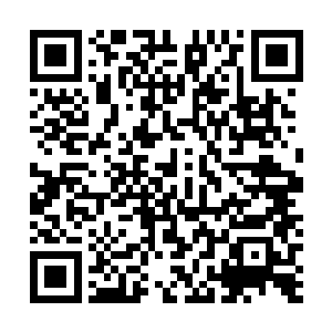 专门从祖宗祠堂里找出的毛发脐血等物吧……孟奇猜测道二维码生成