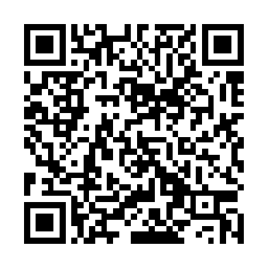 专门在北欧的一所著名的皇家音乐学院系统学习深造过二维码生成