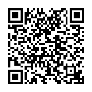 专门找了巧手匠人用枯枝和绢帛扎出一树树的桃花二维码生成