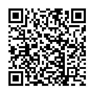 专门报道明星八卦的花边报纸来参加他的新闻发布会二维码生成