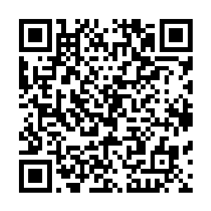专门用很便宜的价格出售吐司边蛋糕边之类的边角料的门店二维码生成