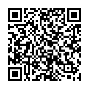 且不说多达五次的推荐原主人去各种各样的剧组试镜二维码生成