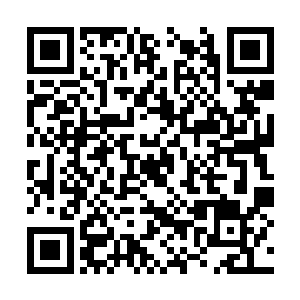 且不说筱然姑姑的婚礼会不会因为我们而无法进行二维码生成