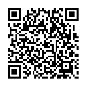 且已经敲定将会由华夏一套节目于暑假播出之后二维码生成