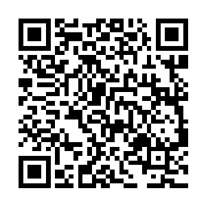 且带着一股强大的令两头虎蛟兽心悸的威严从天而降二维码生成