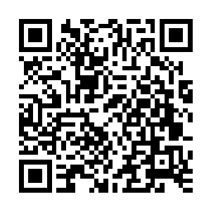 且看一个灵魂来自地球的少年一路披荆斩棘踏上无上圣者之路二维码生成