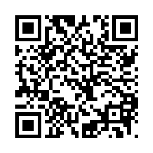 且看我能否在拳王的弥天大网撒下之前二维码生成