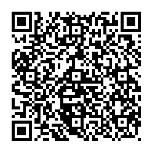 且还可以看到里面有些许血神子在血池中游荡着……这些血神子是刚刚诞生没多久的二维码生成