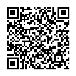 且都直接释放了……让秦方顺顺利利的迎回了自己的亲人二维码生成