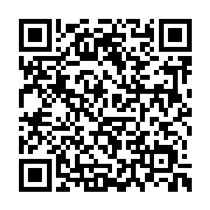 世家其余四人已经彻底失去了争夺的前八的资格二维码生成