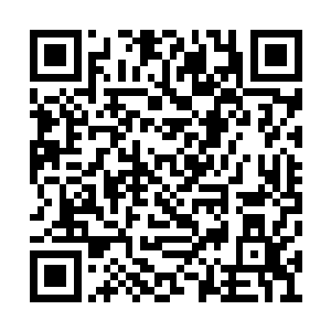 世家的威望和地位在这一战中已经是彻底的丢尽二维码生成