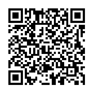 世家联盟和散仙盟的弟子都惊惧地不敢望向许紫烟二维码生成