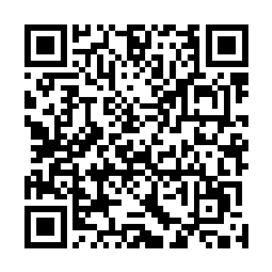 世家赠送的蛮族私兵和东海龙宫赠送的龙脉蛮族共四百余二维码生成