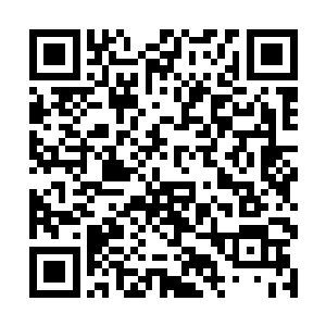 世界五百强的麻生商事社长麻生沙树先生就是他大伯二维码生成