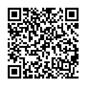 世界各国向尼日尔提供紧急食品和药品援助都会经过那里二维码生成