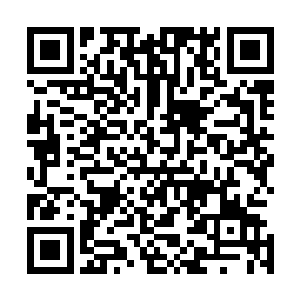 世界树先生送的鸡一早就被阿尔法大伯放到宠物舱托运去了二维码生成