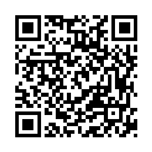 世界树叶子速度因为她之前喊那一声慢了下来二维码生成