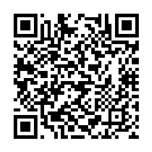 世界百强企业中有着三十多个是属于莉姐一个人的二维码生成