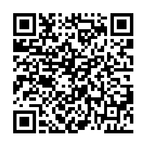 世界第一无双剑姬西门吹牛中为大家带来精彩的直播二维码生成