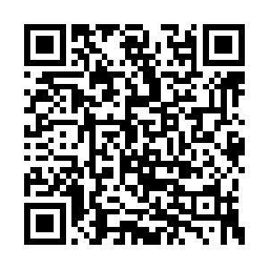 世界级别的会议都需要有一个长时间的筹备过程二维码生成