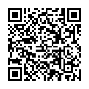 世间一切风景也不如此刻佳人一双美目流转间风情万种二维码生成