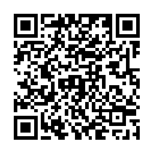 世间繁杂的琐碎之事并没有阻碍您在圣光之道上的探索二维码生成