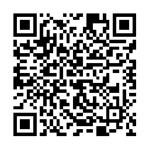 业界很多人在这张专辑发行的头几天就把专辑买回了家二维码生成