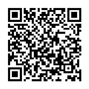 丛林女妖克洛伊和火山巨人木头都出现了法力透支的情况二维码生成