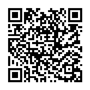 丛林里热成像比微光的更容易发现隐藏起来的敌人二维码生成