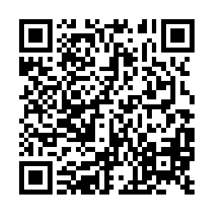 东三省相当一级相当数量的干部思想观念严重滞后二维码生成
