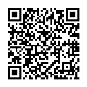 东临和西楚都将南岳的消息传递回了自己的国家二维码生成