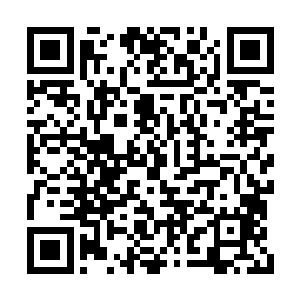 东临嫣雪以为剑尘是因为没有任何的收获而气馁二维码生成