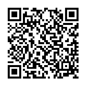 东丽岛在春季被海水淹没的时间一般在半个月左右二维码生成