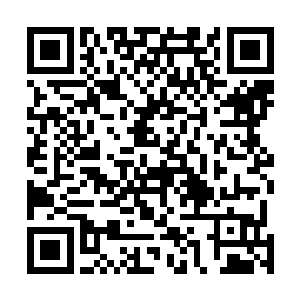 东元的东元两家这种类似皇族的家族都比不得燕家跟项家二维码生成