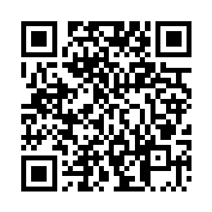 东南航空公司的股份可是您的命根子二维码生成