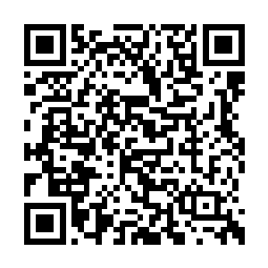 东城区统领伏青站在了守城宫门口亲自迎接客人二维码生成