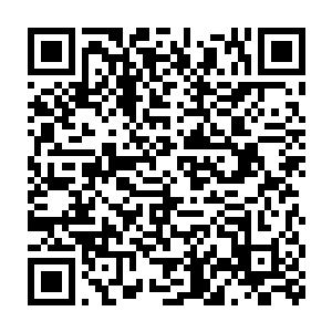 东域一些与洛神宫交好或者与沈凡有仇的公子级别的天才飞了出来二维码生成