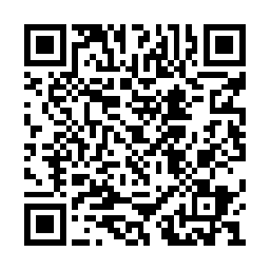 东安郡的其他上等家族们也是全部都行动了起来二维码生成