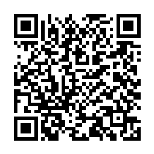 东方云听到陈霸天的话之后目光忍不住瞟了龙傲天一眼二维码生成