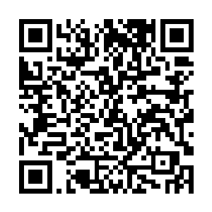 东方夏雪仔细看着从谭仲那里要来的莱顿斯家族资料二维码生成