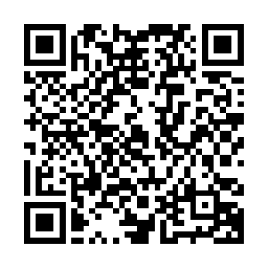 东方天纵的秘书很快就将所有的资料整理出来拿到了苏凡的面前二维码生成