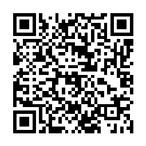 东方有梦与西门无生两个人只感到脑海中尽是一片浆糊二维码生成