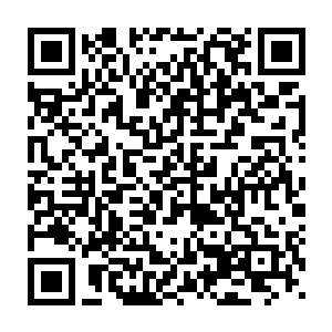 东方浩然在各大世家周边打探了一圈也没有发现关于东方少奇的消息二维码生成