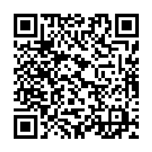 东方浩然将东方少奇所说的话整理了一下告诉了苏凡二维码生成