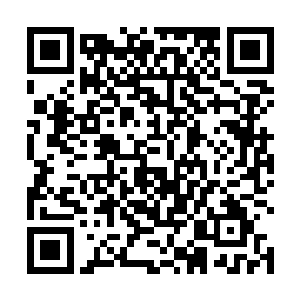 东方浩然明明知道东方家主收养自己并不是那么简单的二维码生成